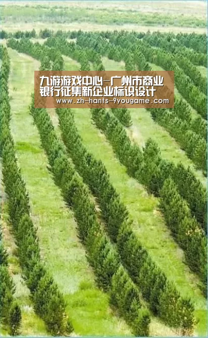 九游游戏