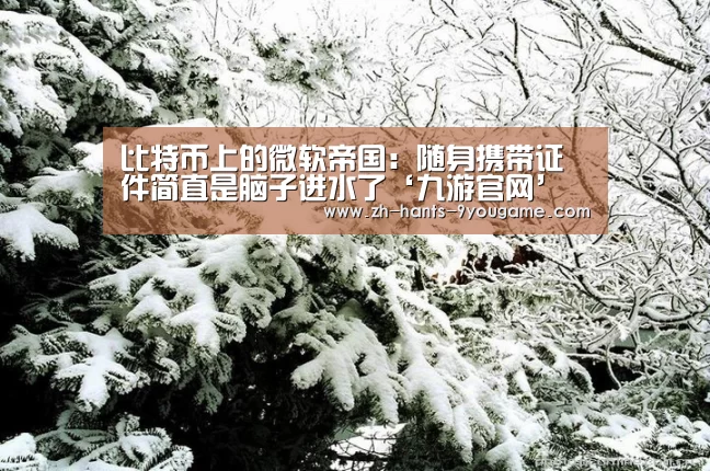 比特币上的微软帝国:随身携带证件简直是脑子进水了‘九游官网’(图3) 九游游戏