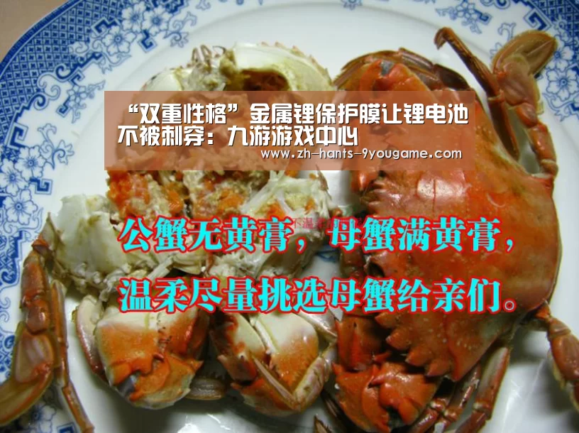 “双重性格”金属锂保护膜让锂电池不被刺穿:九游游戏中心(图2) 九游官网